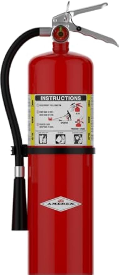 Amerex B456 ABC Dry Chemical Fire Extinguisher with Aluminum Valve, 10 lb. with Bracket