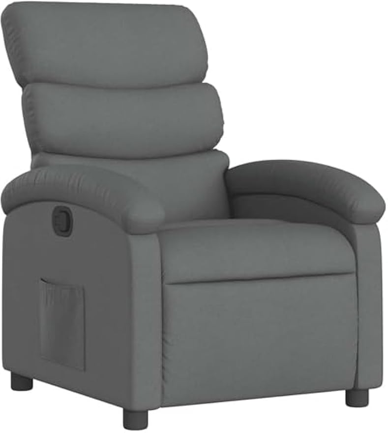 vidaXL Manual Recliner Chair for Adults, Single Home Theater Seating with Lumbar Support & Adjustable Backrest/Footrest, Modern Reclining Sofa for Living Room, Dark Gray Fabric