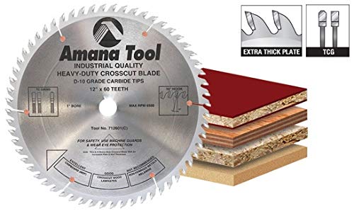 Amana Tool - 716801 Carbide Tipped Cut-Off & Crosscut 16" Dia x 80T Tcg, 10 Deg, 1 I