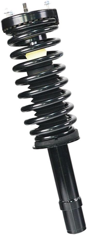 Shoxtec Front Pair Complete Struts Assembly Replacement for 2005-2008 Dodge Magnum 2007-2010 Dodge Charger Coil Spring Shock Absorber Repl. part no 272254L 272254R