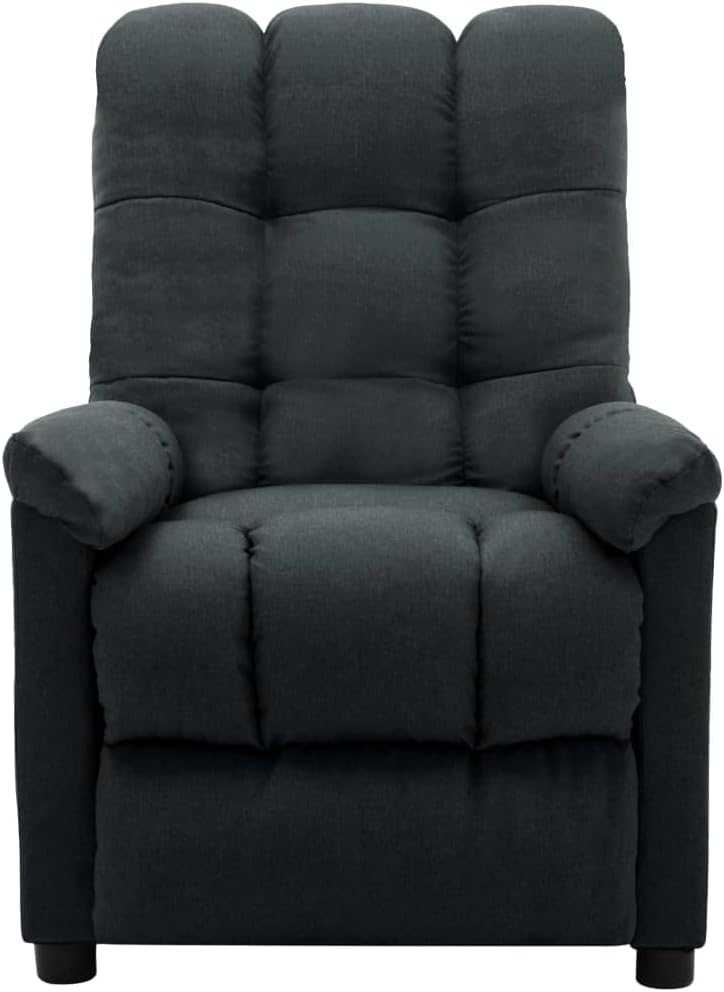 vidaXL Recliner Chair, Electric Leisure Cozy Recliner for Home Theater Cinema, Adjustable Versatile Sleeper Chair for Living Room, Dark Gray Fabric