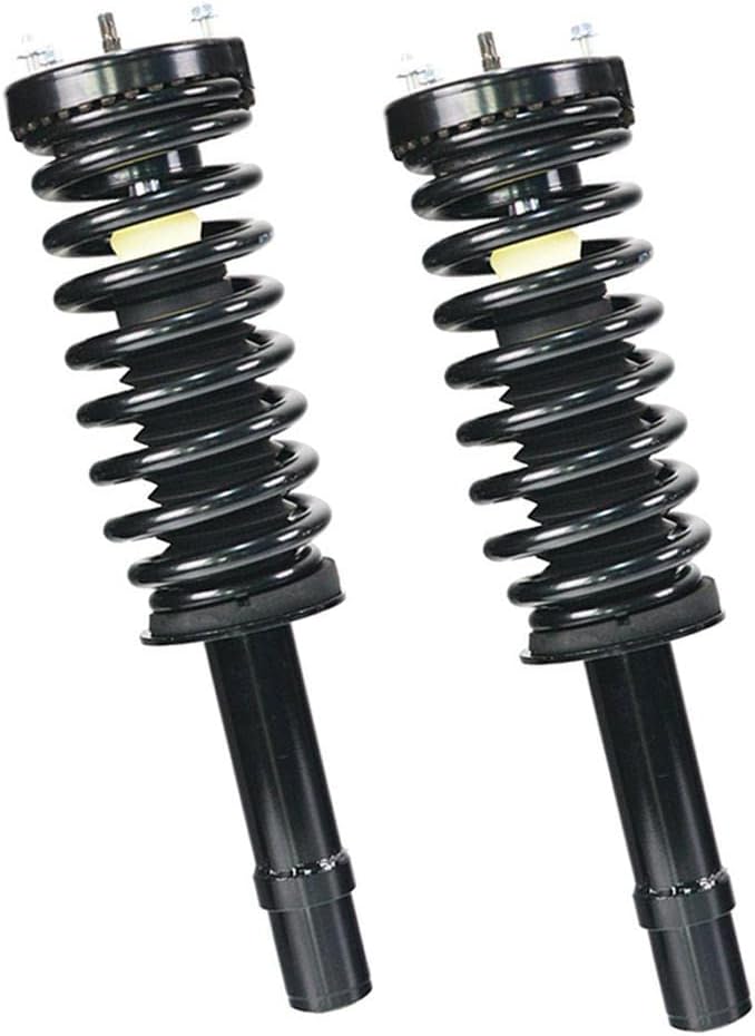 Shoxtec Front Pair Complete Struts Assembly Replacement for 2005-2008 Dodge Magnum 2007-2010 Dodge Charger Coil Spring Shock Absorber Repl. part no 272254L 272254R
