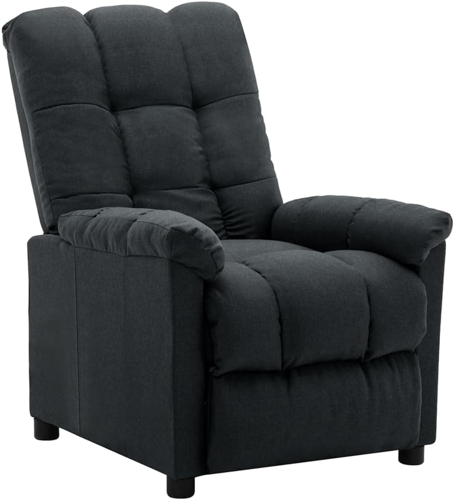 vidaXL Recliner Chair, Electric Leisure Cozy Recliner for Home Theater Cinema, Adjustable Versatile Sleeper Chair for Living Room, Dark Gray Fabric
