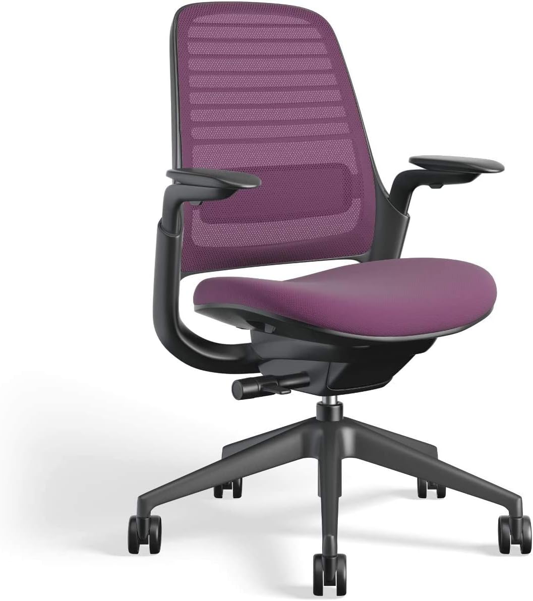 Steelcase Series 1 Office Chair - Ergonomic Work Chair with Wheels for Carpet - Helps Support Productivity - Weight-Activated Controls, Back Supports & Arm Support - Easy Assembly - Graphite