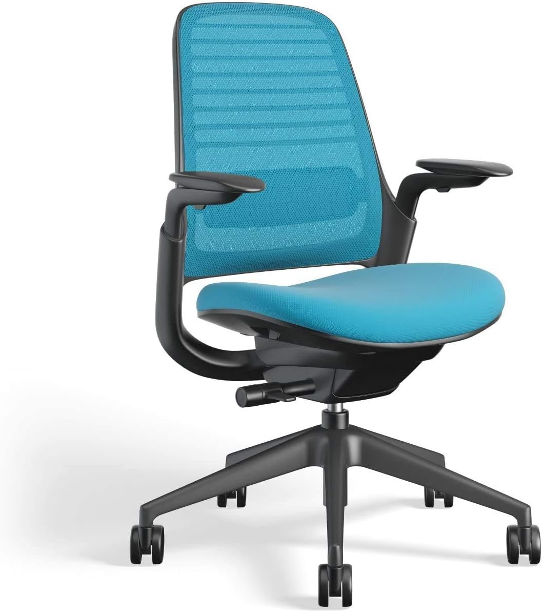 Steelcase Series 1 Office Chair - Ergonomic Work Chair with Wheels for Carpet - Helps Support Productivity - Weight-Activated Controls, Back Supports & Arm Support - Easy Assembly - Graphite