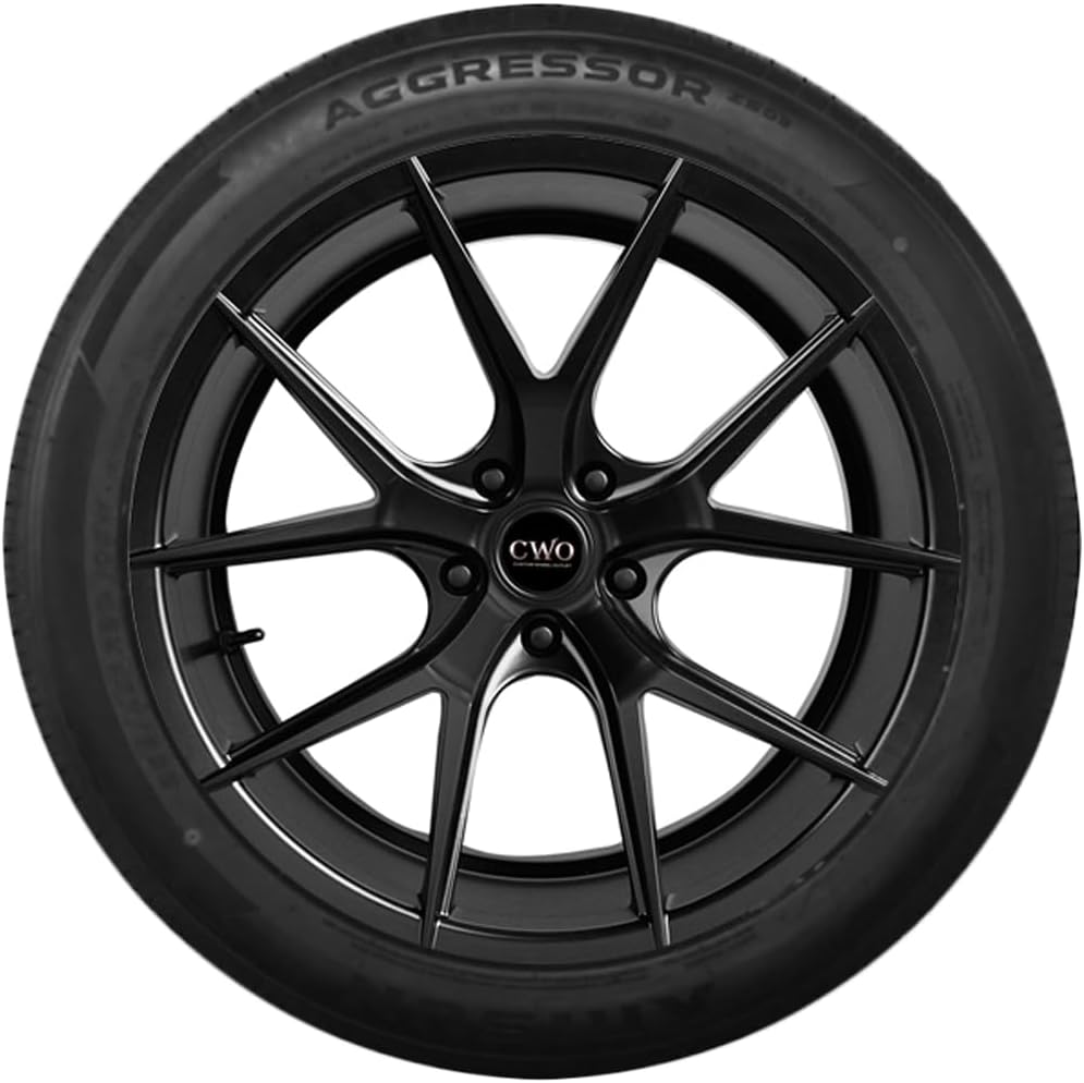 Aggressor ZS03 All Season 255/40ZR19 100W XL Passenger Tire