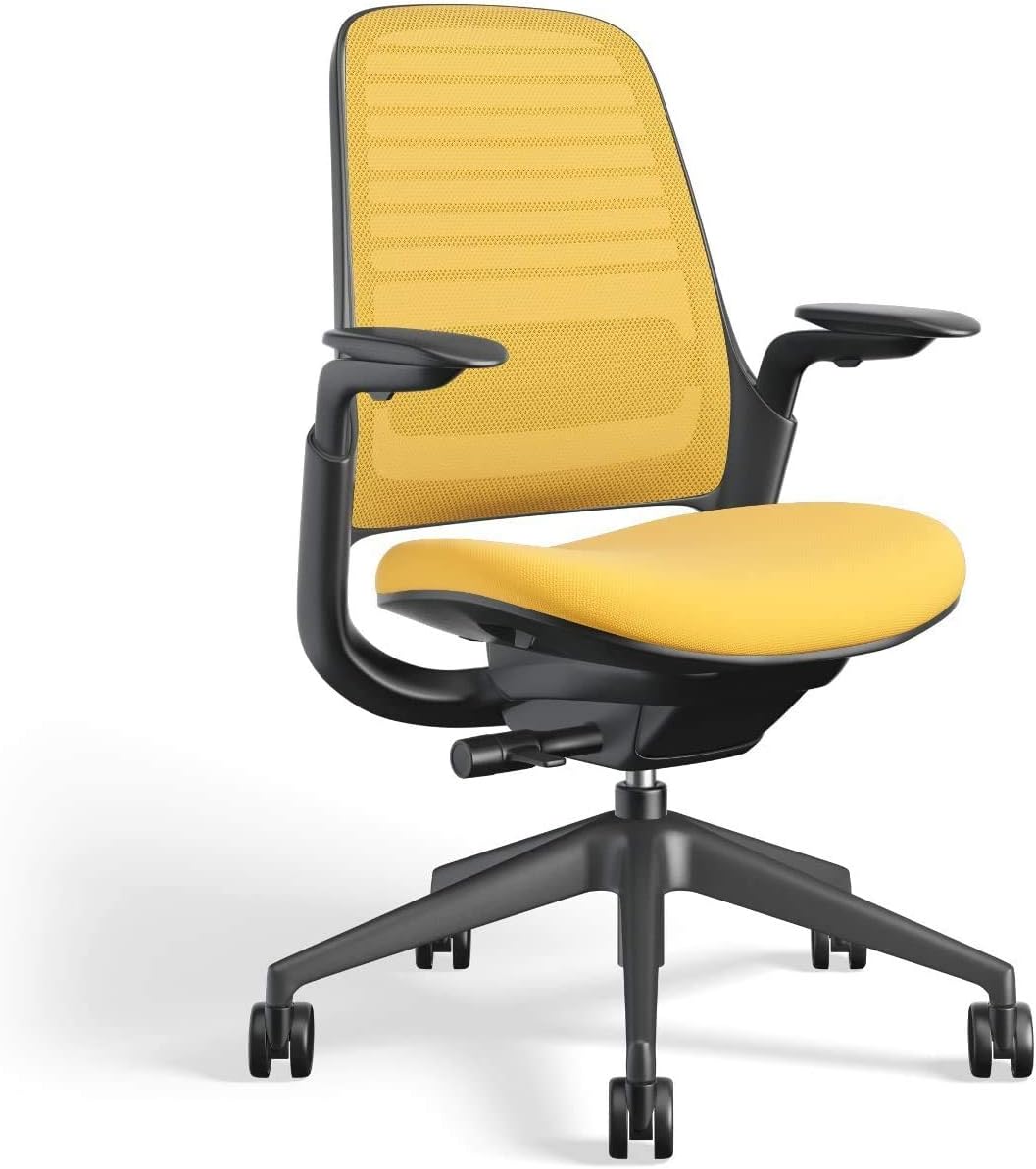 Steelcase Series 1 Office Chair - Ergonomic Work Chair with Wheels for Carpet - Helps Support Productivity - Weight-Activated Controls, Back Supports & Arm Support - Easy Assembly - Graphite