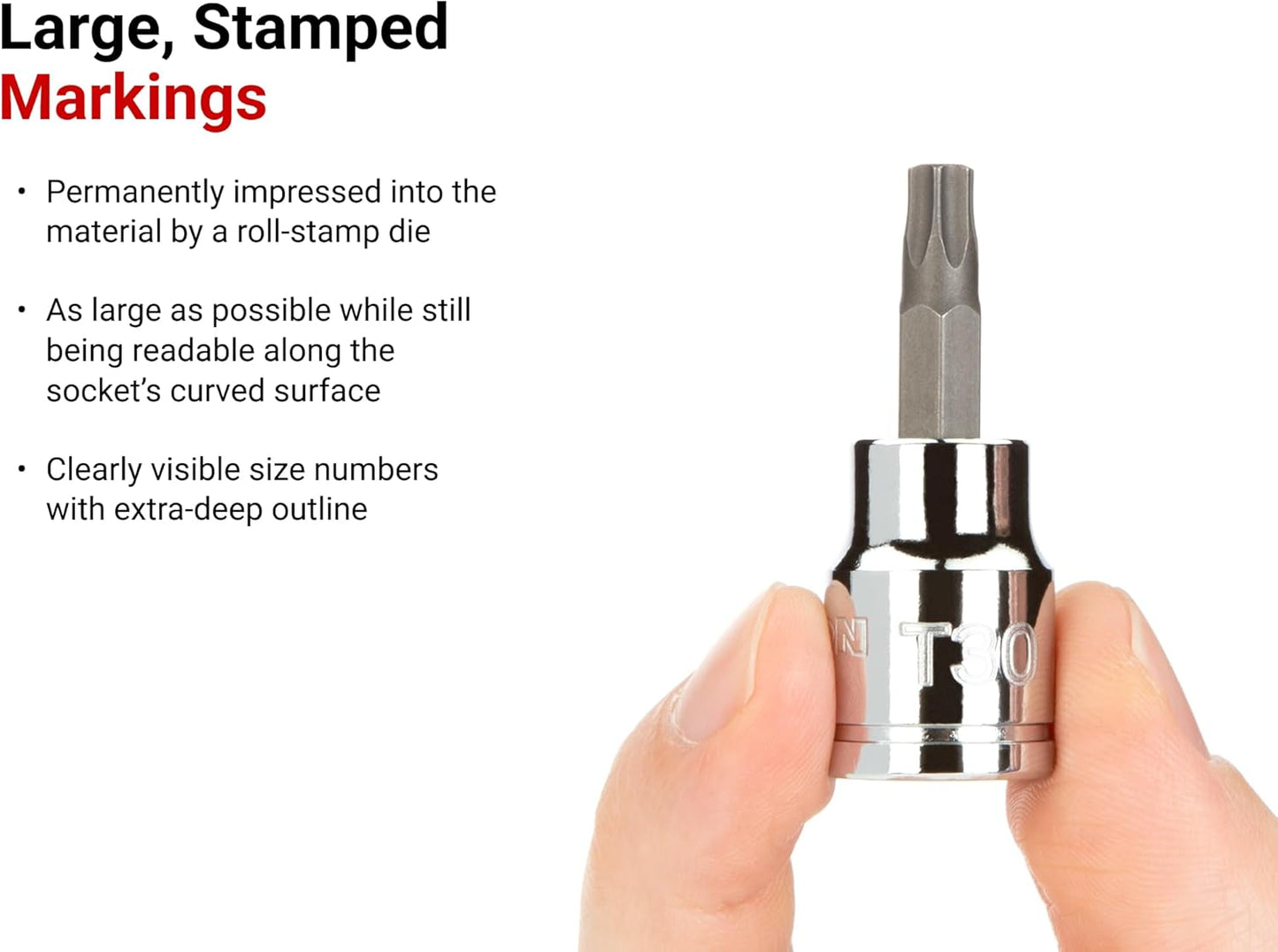 TEKTON 3/8 Inch Drive Torx Bit Socket Set with Rail, 12-Piece (T10-T60) | SHB91103