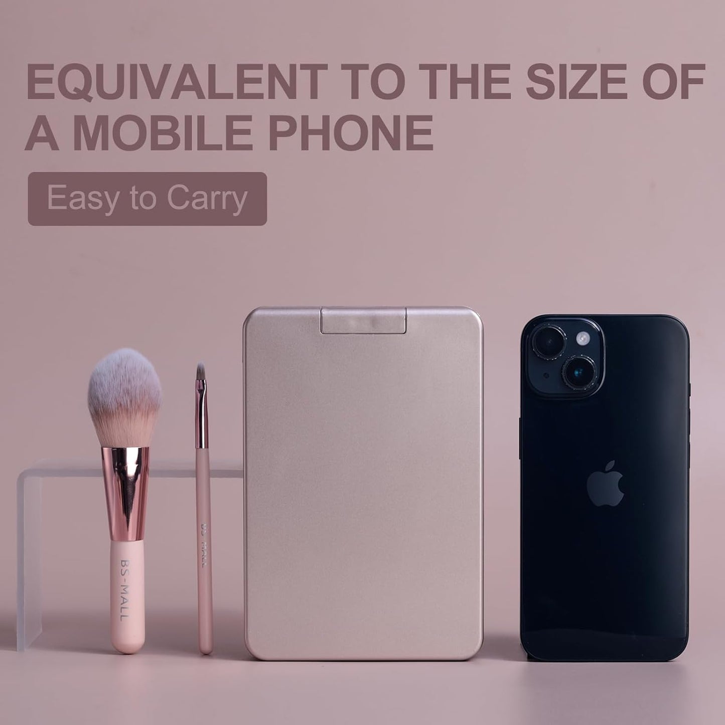 BS-MALL Makeup Brushes Foundation Powder Concealers Eye Shadows Makeup Set with LED light Mirror 14 Pcs Mini Makeup Brushes (APINK)