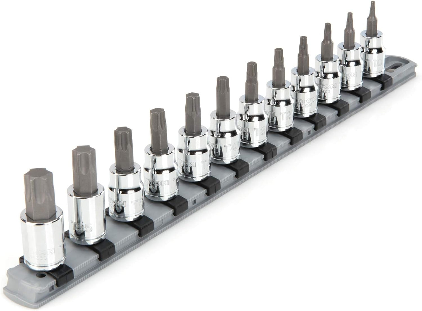 TEKTON 3/8 Inch Drive Torx Bit Socket Set with Rail, 12-Piece (T10-T60) | SHB91103