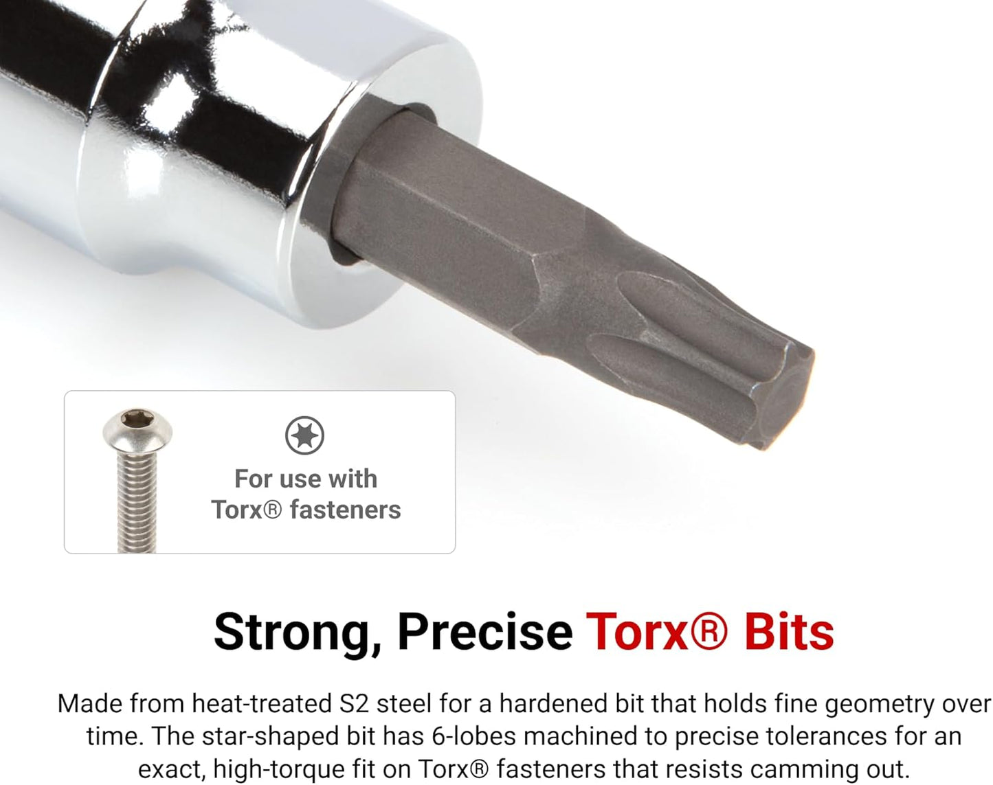 TEKTON 3/8 Inch Drive Torx Bit Socket Set with Rail, 12-Piece (T10-T60) | SHB91103