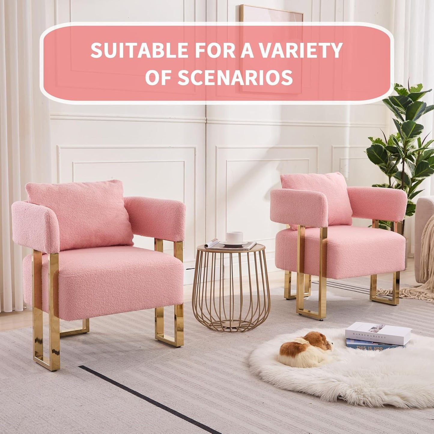 Teddy Velvet Sofa with Square Legs and Gold Feet Suitable for Decorative Chair in Living Room Reading Chair Medieval Modern Sofa Chair with Pillows(Pink Teddy Velvet 2PC)