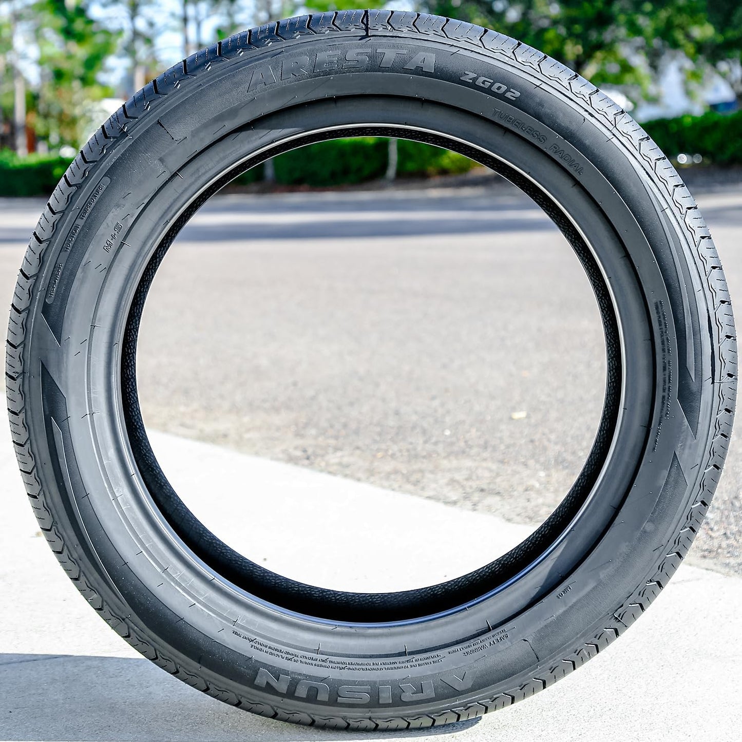 Aresta ZG02 All Season 245/55R19 103V Passenger Tire