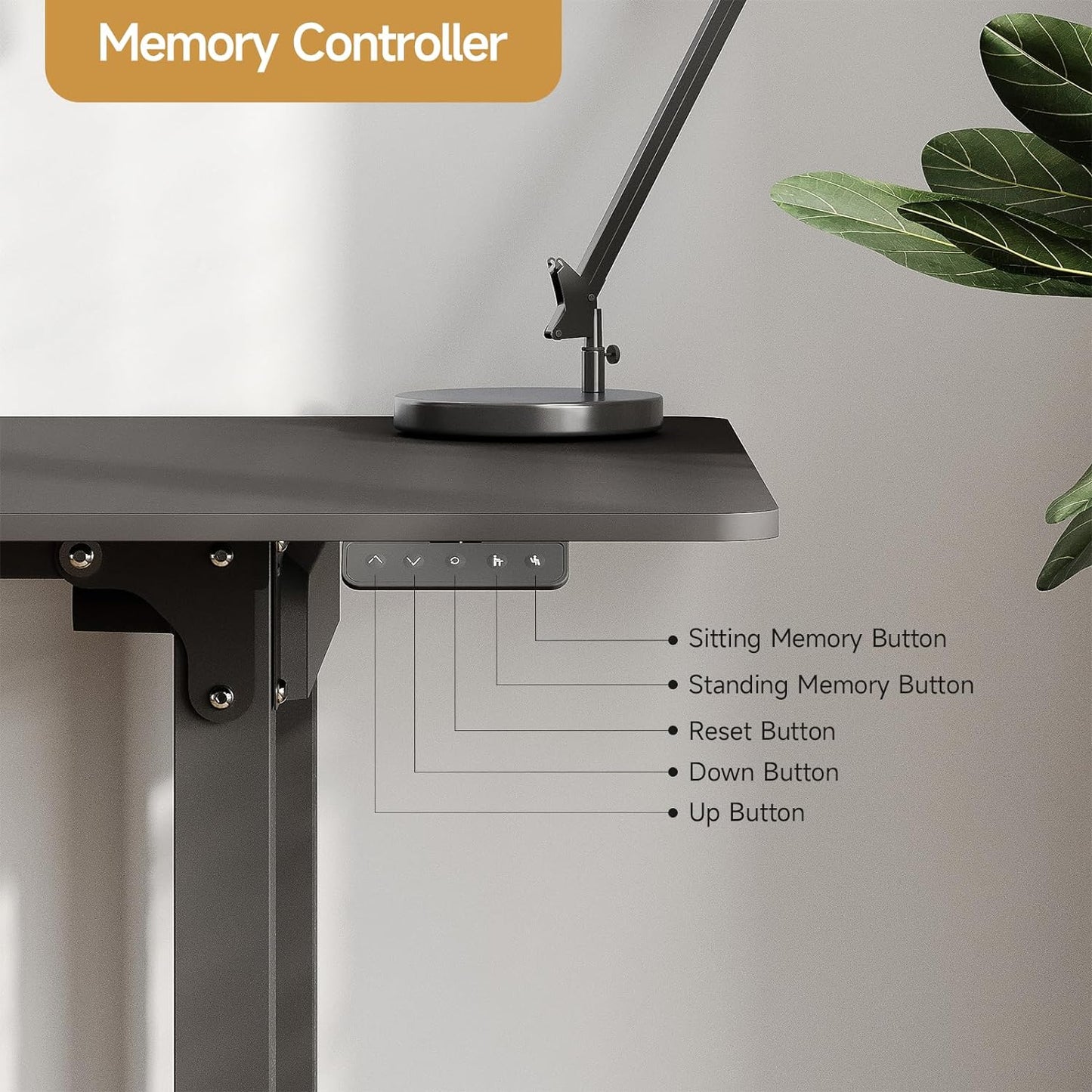 Standing Desk, 63x30 Inches Rectangle Stand Up Desk with 4 Legs, Dual Motor and Memory Controller, Adjustable Height from 28-46 Inches for Home and Computer Workstation, Black