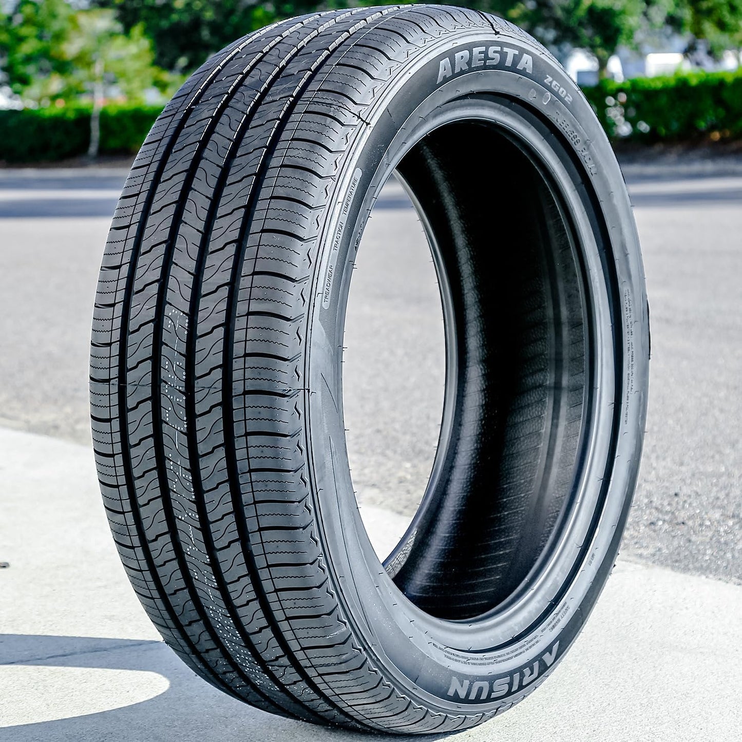 Aresta ZG02 All Season 245/55R19 103V Passenger Tire