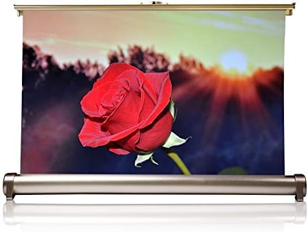 20 inch Projector Screen 16:9 Desktop Portable Front Projection Screen for Business Meeting