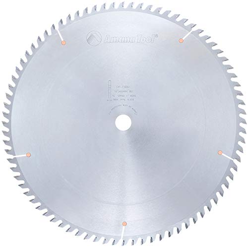 Amana Tool - 716801 Carbide Tipped Cut-Off & Crosscut 16" Dia x 80T Tcg, 10 Deg, 1 I