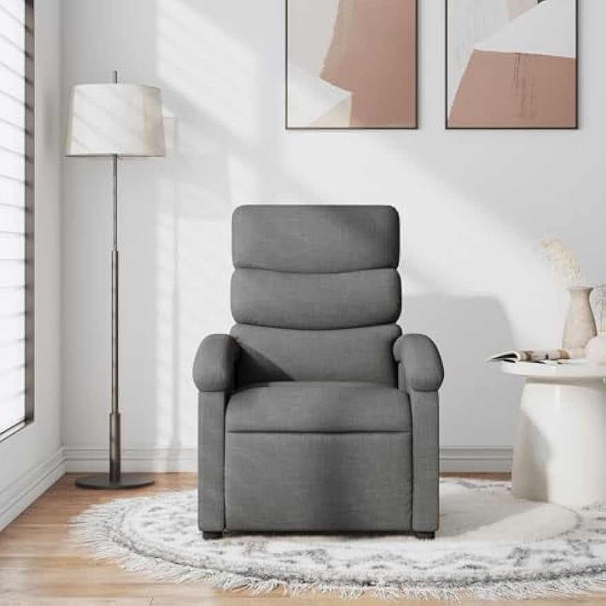 vidaXL Manual Recliner Chair for Adults, Single Home Theater Seating with Lumbar Support & Adjustable Backrest/Footrest, Modern Reclining Sofa for Living Room, Dark Gray Fabric
