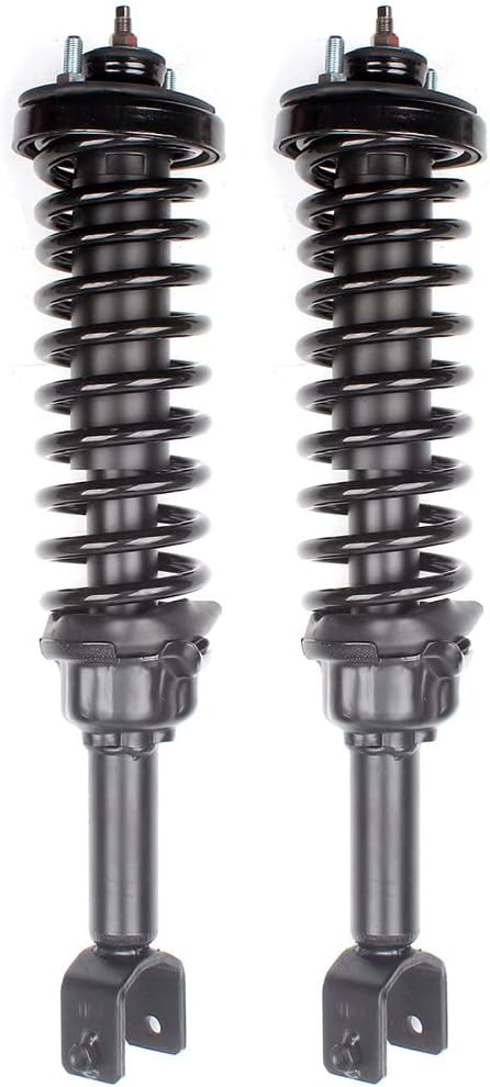 SCITOO Rear Shock Absorber Assembly Fit for 1992-1995 for Honda Civic, Complete Shock and Strut Assembly Kit Fit for 171266 2PCS