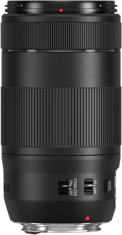 Canon EF 70-300mm f/4-5.6 is II USM Lens (0571C002) + Filter Kit + Backpack + 64GB Card + Card Reader + Flex Tripod + Memory Wallet + Cap Keeper + Cleaning Kit + Hand Strap + More (Renewed)