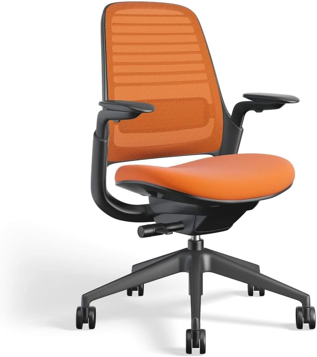 Steelcase Series 1 Office Chair - Ergonomic Work Chair with Wheels for Carpet - Helps Support Productivity - Weight-Activated Controls, Back Supports & Arm Support - Easy Assembly - Graphite