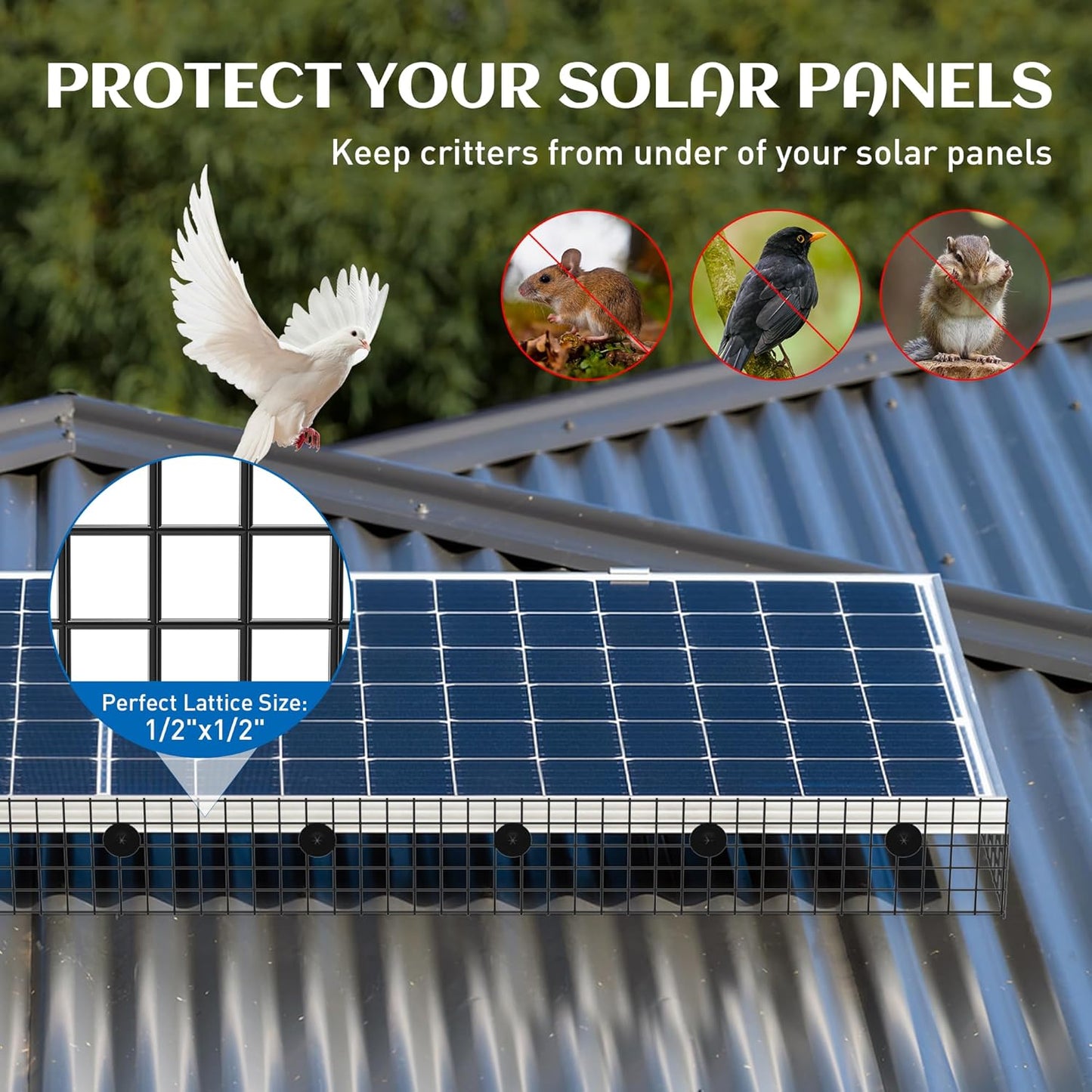 8inch x 100ft Solar Panel Bird Guard, Critter Guard for Solar Panels with 100 Pcs Stainless Steel Fasteners, Removable PVC Coated Pigeon Netting Wire for Squirrel, Bird, Critters Proofing