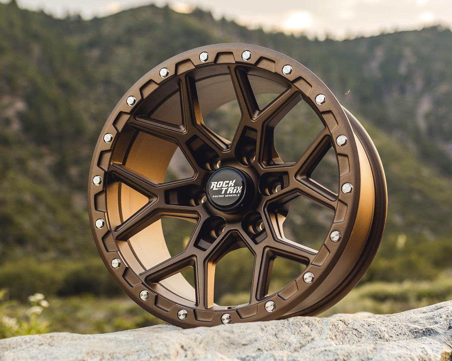 RockTrix RT107 17 Inch Rim Automotive Wheel Compatible with 2001+ Toyota Tacoma, 2002+ 4Runner, FJ Cruiser, 17x9 6x5.5 Wheel, 12mm offset, 4.5 Inch Backspacing, 6x139.7 6Lug Rim, Matte Bronze